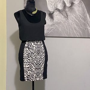 Express, zebra print dress